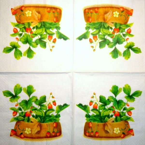080 Rosen - 3-lagig